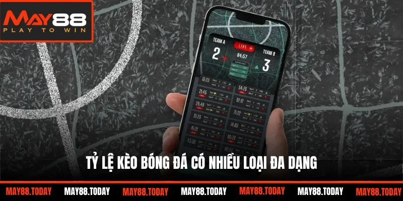 Tỷ lệ kèo bóng đá có nhiều loại đa dạng