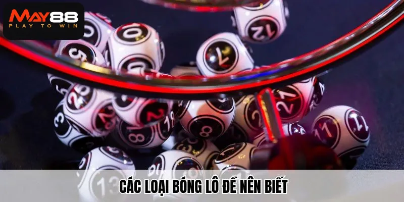 Các loại bóng lô đề nên biết 